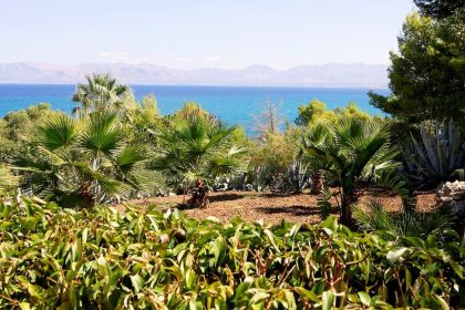 Cala dell'Ovo's garden